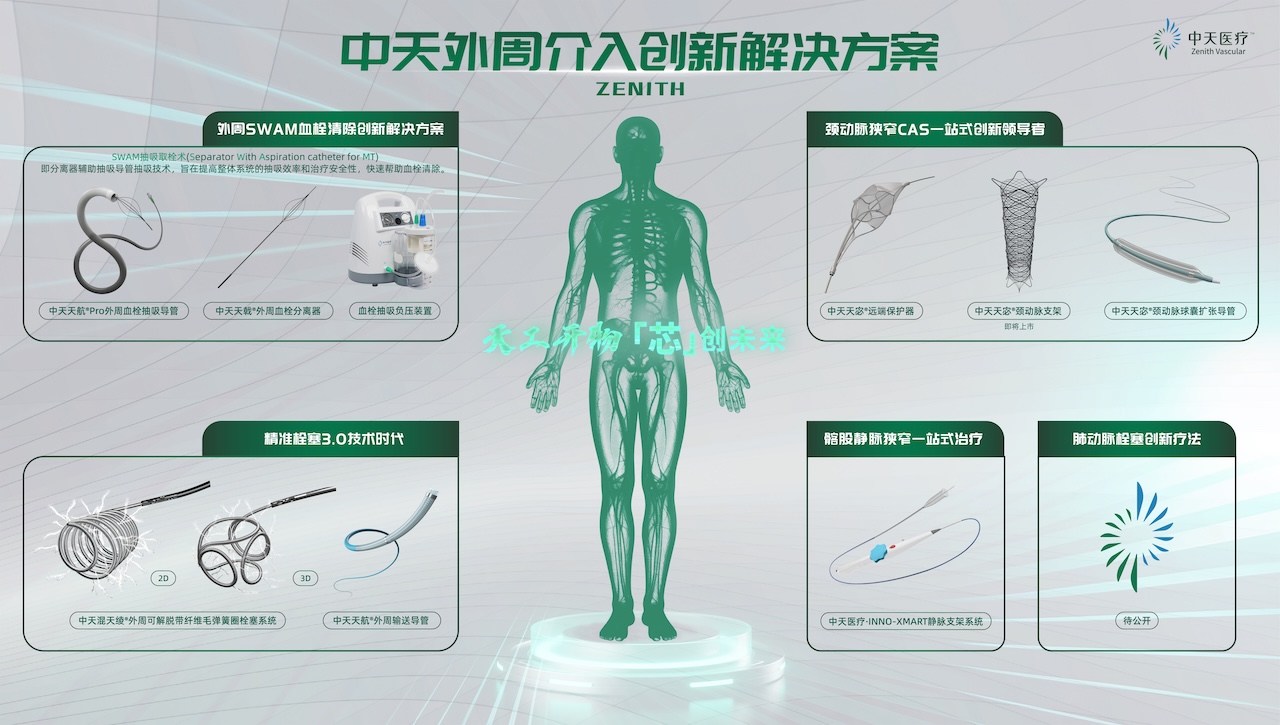 Peripheral Interventional Product Solution